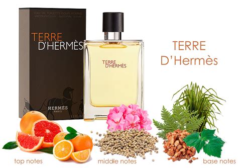 hermes terre d'hermes ingredients list